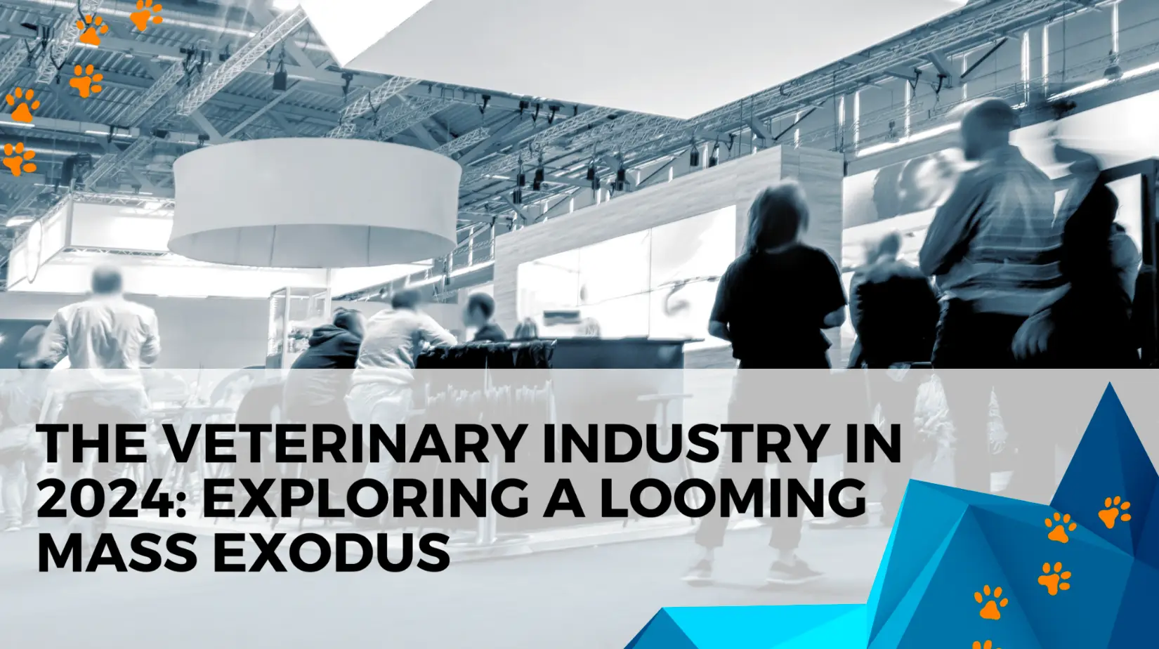 The veterinary industry in 2024