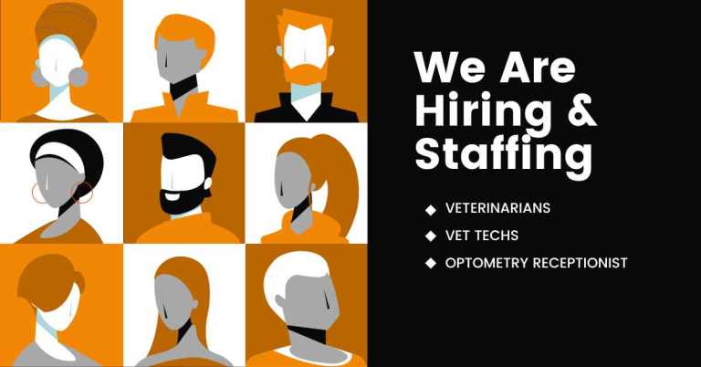 We are Hiring & Staffing - Benefits of Using a Staffing Agency for Veterinary Practices