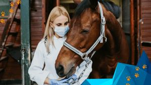 The Comprehensive Guide to Veterinary Staffing Solutions