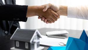 how to sell veterinary practice